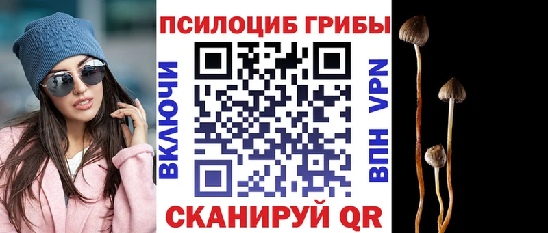 Псилоцибиновые грибы MAGIC MUSHROOMS закладка Козельск